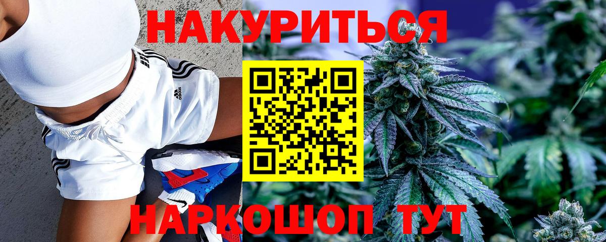 Каннабис сатива Усть-Джегута